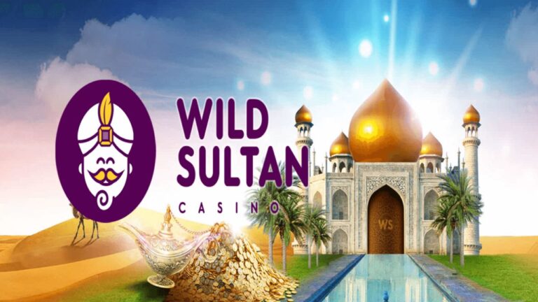 Wild Sultan : la référence pour une expérience de jeux unique